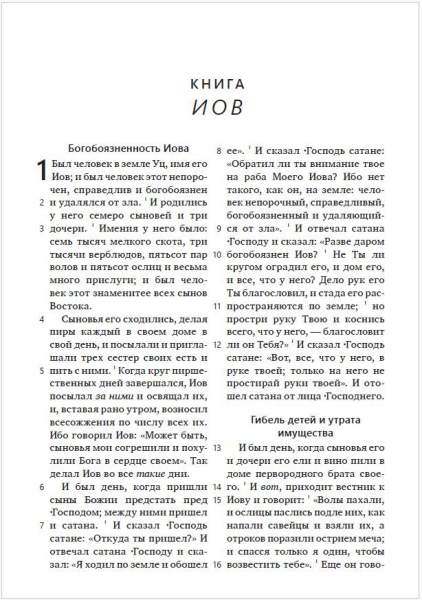 Bibel Synodal Version (mehrfarbig), Russisch